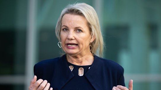 Deputy Liberal leader Sussan Ley.