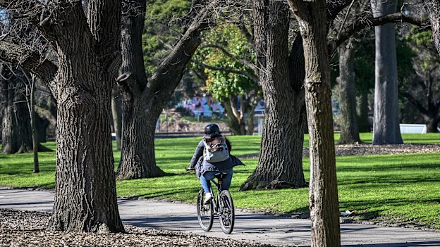 A cyclist rides through Darling Gardens in Clifton Hill.
