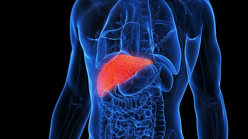 Forget the Detoxes: These Are the Daily Habits to Protect Your Liver