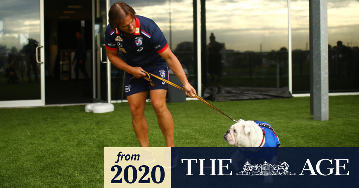 Coronavirus Australia Western Bulldogs Ready To Handle Financial Bleeding From Disrupted Afl Season Coach Luke Beveridge