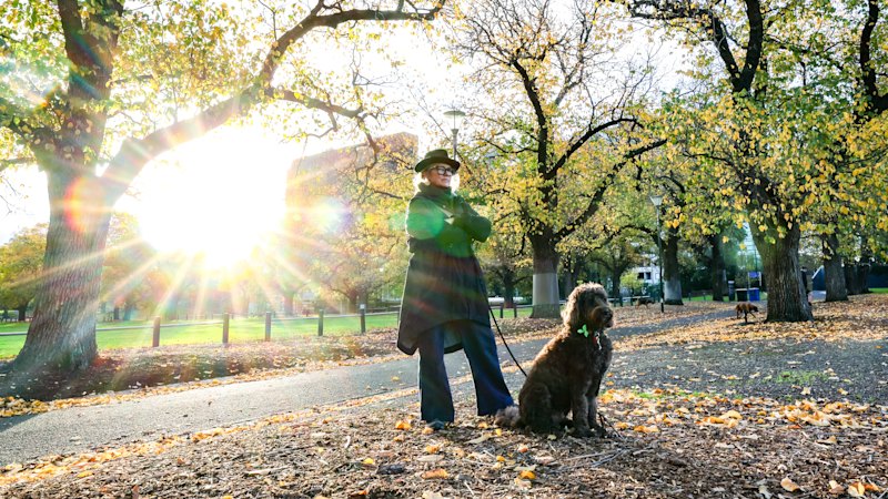 MCG plan for Yarra Park raises fears of stealth privatisation