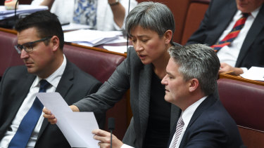 Labor's Penny Wong and the Coalition's Mathias Cormann consider a vote in the Senate.