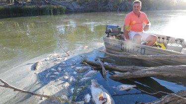 Graeme McCrabb on his tinnie in the Darling River, floating among dead Murray cod and other fish just after the second of three big fish kill events near Menindee.