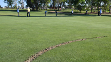 Damage: the skid mark left on the back of the 16th green during the first round of the NSW Open at Twin Creeks Golf and Country Club.