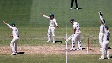 Australian players appeal for the wicket of Ben Stokes. 