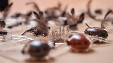 Artist Maree Clarke's award-winning necklace/artpiece. 