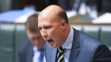 Home Affairs Minister Peter Dutton is being touted as a Coalition leader.