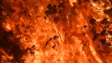 Raging bushfires in Bilpin, NSW, on December 21, 2019.