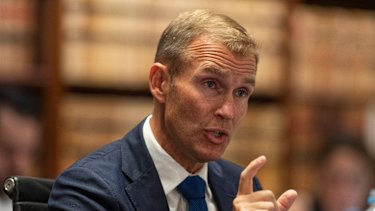 NSW Planning and Public Spaces Minister Rob Stokes is behind a renewed push to transform White Bay.