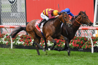 State Of Rest (outside) edges out Anamoe to win the Cox Plate at Moonee Valley on Saturday.