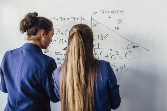 Marrickville High, a co-ed school, has introduced single-sex maths and science classes in year 7