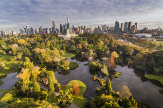 What fun awaits to sit on a rollicking train heading into Melbourne for a walk in one of the many splendid parks, such as the Royal Botanic Gardens.