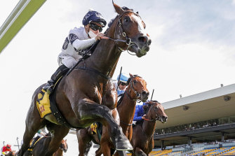 Overpass, with Time Clark in the saddle, wins the Expressway Stakes at Rosehill yesterday.