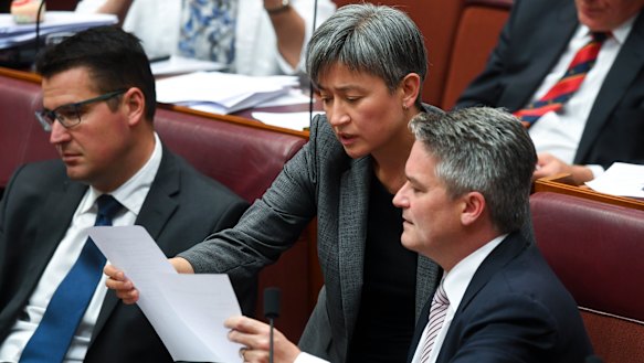 Labor's Penny Wong and the Coalition's Mathias Cormann consider a vote in the Senate.