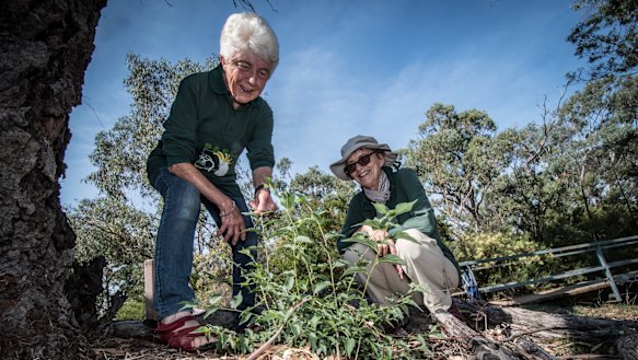 Volunteers Margaret Clough and Jeanette Ruxton oppose the plan to build a car park on Remembrance Nature Park.