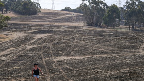 Out-of-control Bunyip blaze has destroyed 29 homes, 67 outbuildings