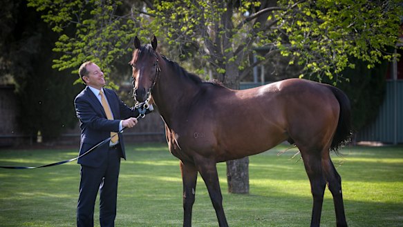 Tabcorp's managing director of waging, Adam Rytenskild, with Ventura Storm which will be running in the Queen Elizabeth Stakes. 