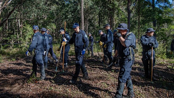 Police and SES, in June last year, search bushland abutting the street from which William disappeared.