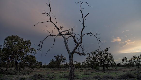 Dawn breaks near Bourke, on the drought-afflicted Darling River.
