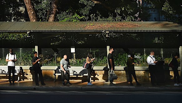 Buses carry about 41 per cent of the people who catch public transport in Sydney.