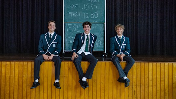 Noah, Ethan and Caleb Steinmann.