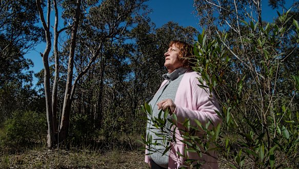 Wildlife campaigner Sue Gay says the protection of koalas is of utmost importance. 