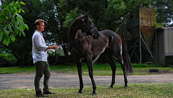 Edward Cummings has applied to take over training at Leilani Lodge.