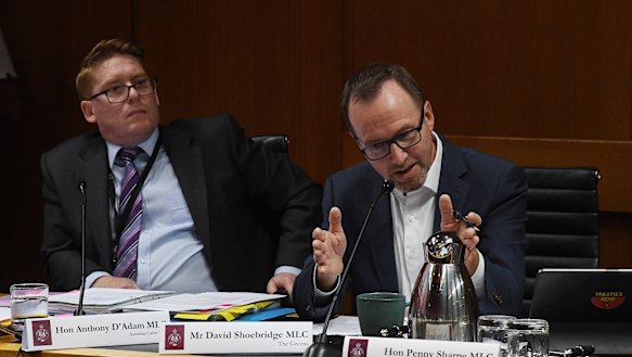 Upper house Greens MP and chairman of the Public Accountability Committee David Shoebridge.