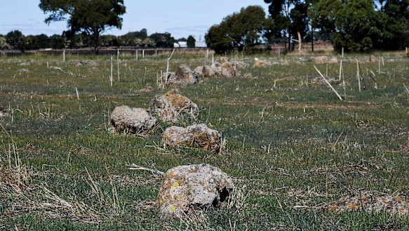 A section on the Aboriginal stone arrangement that was not removed.