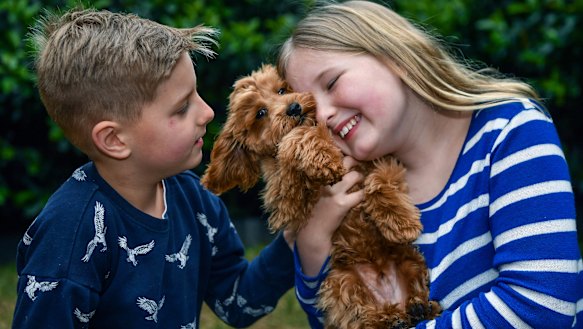 Alice Warry, 10, and her brother, Tommy, 8, with their new toy cavoodle, Ralphy. 