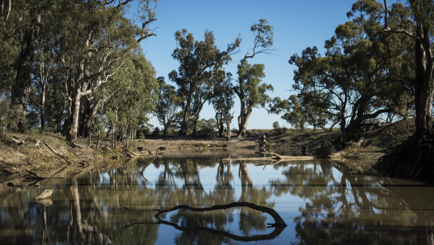 The consumer watchdog has called for sweeping reforms to install trust among farmers for the water trading market. 