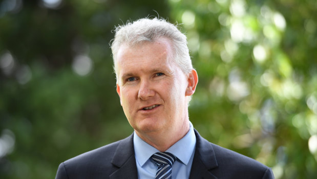 NSW Right frontbencher Tony Burke is supporting the Left's Anthony Albanese.