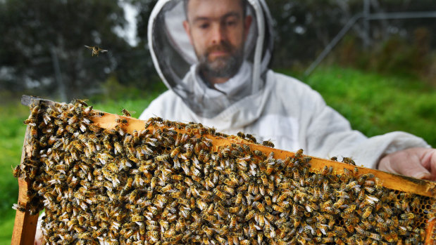 Benedict Hughes provides hives as part of the movement of 4.2 billion bees to help pollinate almond farms.