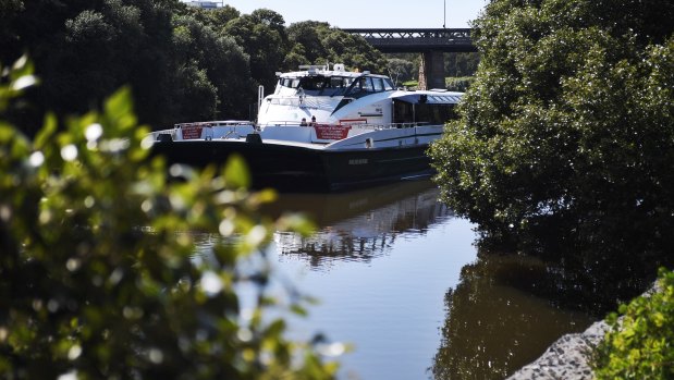 The Marlene Mathews rivercat passes the Mangroves along the Parramatta River.