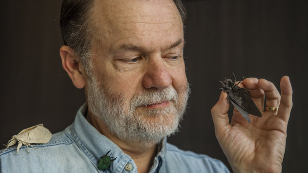 Former NASA engineer Dr Robert Lang says origami is much more than just simple birds and flowers.