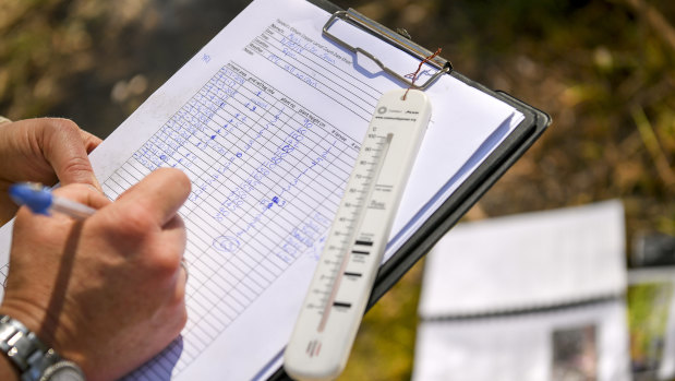 Monitoring of the Eltham copper butterfly in the Andrew Yandell Habitat Reserve has shown a gradual but steady increase since numbers plummeted in 2011.