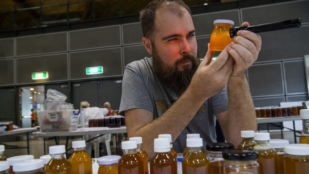 Dr Tobias Smith shines a light through the honey to test its clarity at the Royal Easter Show's native honey competition. 