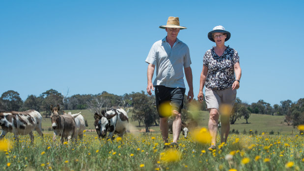 Arnold and Marchien Dekker on their hobby farm in the proposed 5 kilometre buffer zone on the ACT border where the Yass council wants to freeze housing development. 