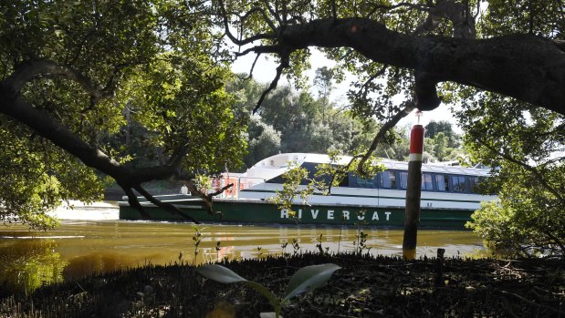 The Marlene Mathews RiverCat on the Parramatta River last week.