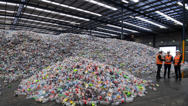 About four days' worth of returned bottles and cans at the Tomra Cleanaway recycling site at Eastern Creek in Sydney's west.