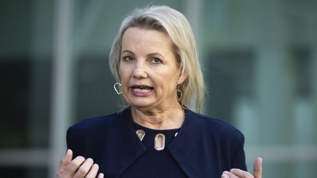 Deputy Liberal Leader Sussan Ley on Wednesday promised to restore the stage 3 tax cuts.