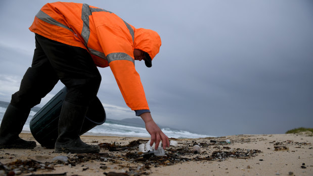 Clean up contractor Lucus Towell clears debris from the beach at Hawks Nest near Port Stephens, north of Newcastle, on Tuesday.
