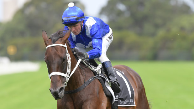 Easy rider: Winx has a track gallop at Rosehill yesterday with Kerrin McEvoy in the saddle.