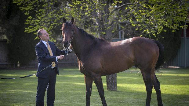 Tabcorp's managing director of waging, Adam Rytenskild, with Ventura Storm which will be running in the Queen Elizabeth Stakes. 