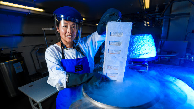 The Doherty Institute's Dr Thi Hoang Oanh Nguyen with frozen human flu samples.