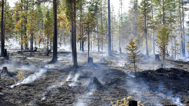 An Alvdalen field in Sarna, central Sweden, burns in July.