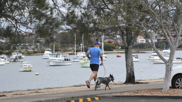 The Bay Run is a popular route for dogwalkers. 