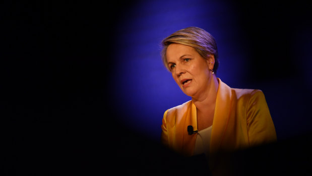 Tanya Plibersek said "we need to make the case for an Australian republic; not the case against the British monarch".