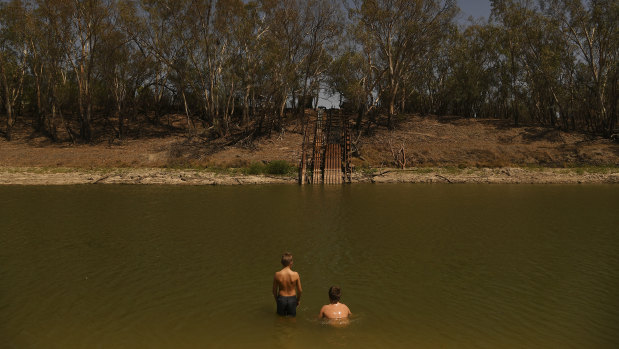 The health of the Darling River is likely to feature prominently in March's state election in the seat of Barwon.