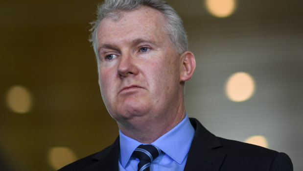 Labor's Tony Burke says the idea was 'an indulgence'.